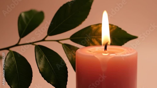 A burning pink candle glows softly next to green leaves
