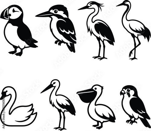 Photography A intricate assortment of eight diverse wild bird species depicted in a tidy and uncomplicated black and white vector illustration approach