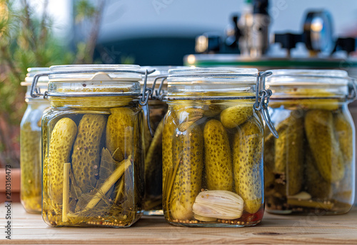 Fotografie Homemade pickled cucumbers with spices