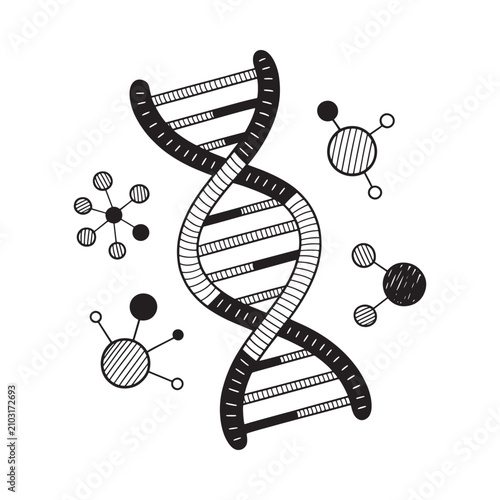 Dna Structure And Molecular Components Black And White Vector Illustration