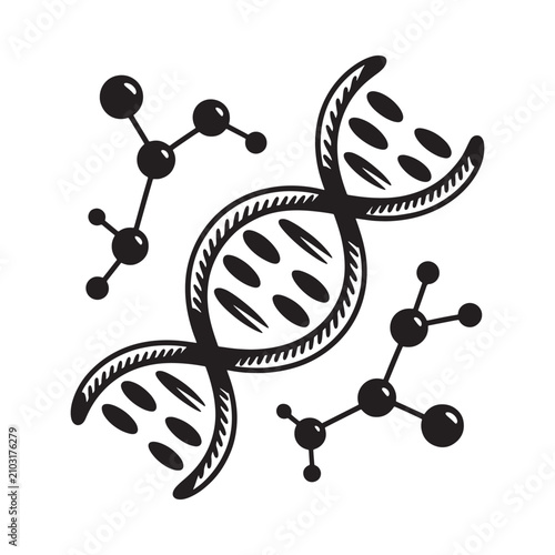 Dna Double Helix And Molecular Structures Black Silhouette On White