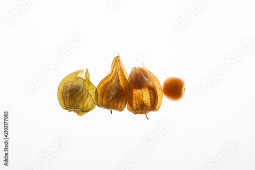 Quadro su tela Conceptual row of golden berries physalis showing different stages of peeling on