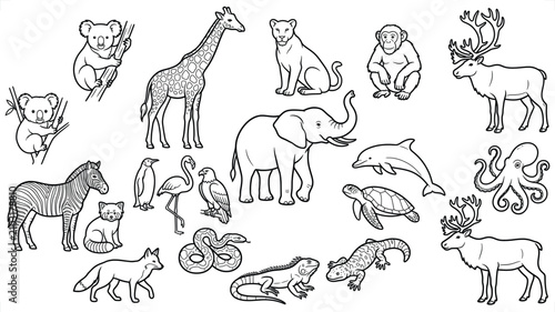 Photography Collection of simple line art animals including mammals birds and marine life ag