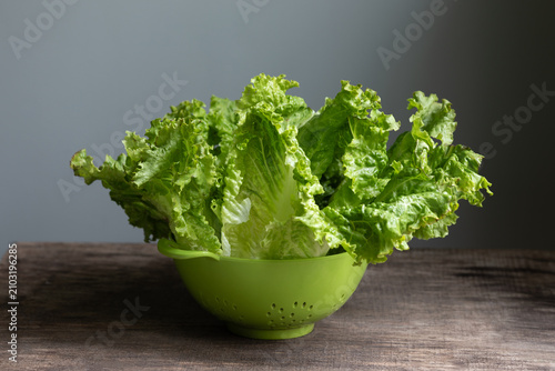 Konstfotografi Fresh green leaf lettuce in a green colander on a rustic wooden table