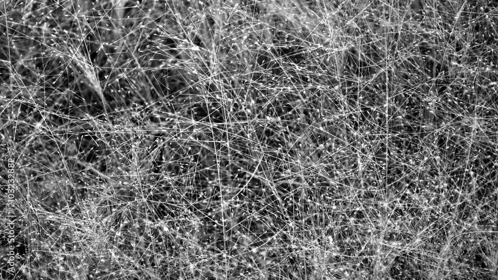 Obraz premium Black and white abstract Background