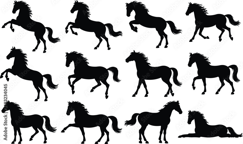 Fototapeta premium Black horse silhouettes collection dynamic poses for graphic design and equestrian art