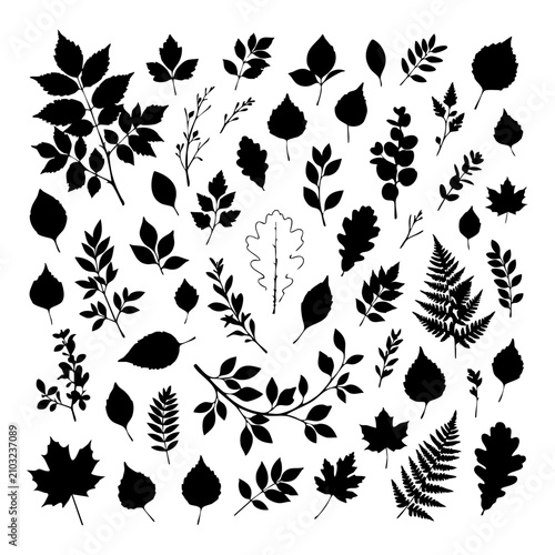 Black silhouette collection of various autumn forest leaves and tree branches with silhouette botanical collection seasonal isolated decoration environmental naturalistic outlines stencils