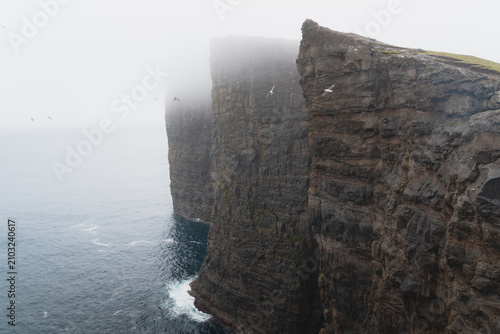 Majestic sea cliffs of Trælanípa with seagulls flying in heavy fog and rain on Vágar Island, Faroe Islands
