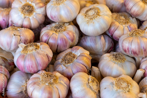 Photography Garlic bulbs piled together at a local market during the day