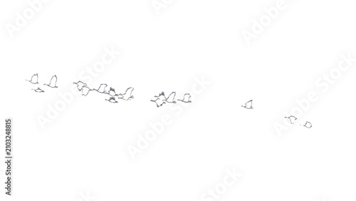 Blurry silhouettes of a flock of wild geese flying in a v-formation creating a sense of movement and freedom on a transparent background.