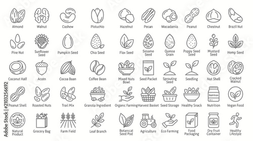 Foto Nuts and seeds set healthy food for diet vegetarian vegan organic
