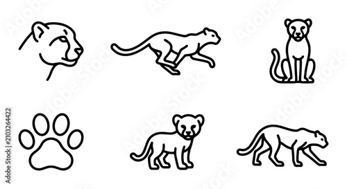 Canvas Print Cheetah Icon Set, Wild Cat Vector Graphics, Animal Paw Print, Safari Wildlife Li