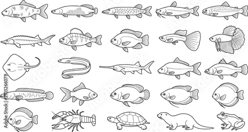 Foto Freshwater Fish and Aquatic Animals Outline Vector Set Featuring Fishing Species