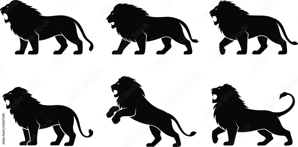 Obraz premium Set of black lion silhouettes in different dynamic poses showing power and strength with silhouette predator strength wildlife collection movement standing majestic aggressive isolated