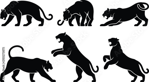 Cuadro en lienzo Black panther and jaguar silhouettes displaying aggressive hunting poses and pro