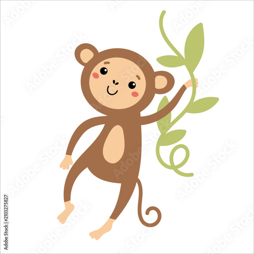 Monkey hanging on liana illustration