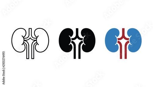 Human kidney anatomy icon set representing urology and medical science in three distinct styles including outline solid and flat colored vector design for healthcare institutions