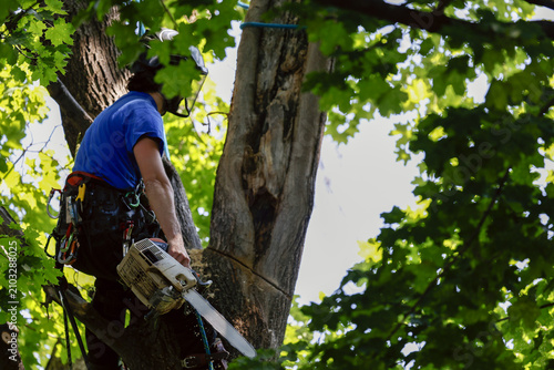 	
Un homme coupe des branches d'arbre. Un arboriste au travail. Émondeur.	
