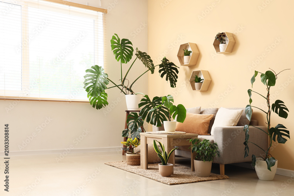 Obraz premium Cozy living room interior with a comfortable sofa, wooden coffee table, and various green houseplants creating a natural aesthetic
