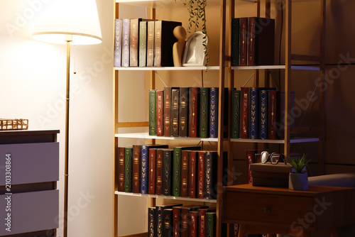 Cozy home library interior ...