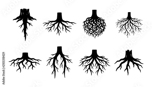 Schilderij op canvas Tree Roots Vector Set: Diverse Organic Structures, Natural Growth Patterns, Grou