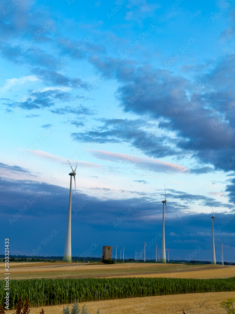 Obraz premium Turbines in a field, blue sky. Tall wind turbines are placed in a field near a small building during late afternoon with clouds in the sky.