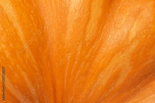 atural backdrop: close up of pumpkin skin texture