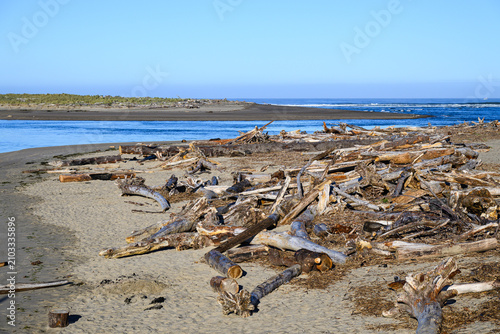 Foto Driftwood on Pacific Ocean coast in Oregon with wood strewn across beach