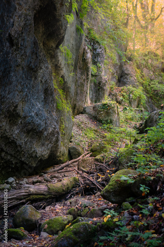 Deep rocky gorge in dense green forest with mossy stones and sun rays