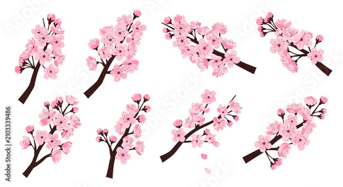 Photos Set of eight cherry blossom branches with pink flowers, perfect for spring and f