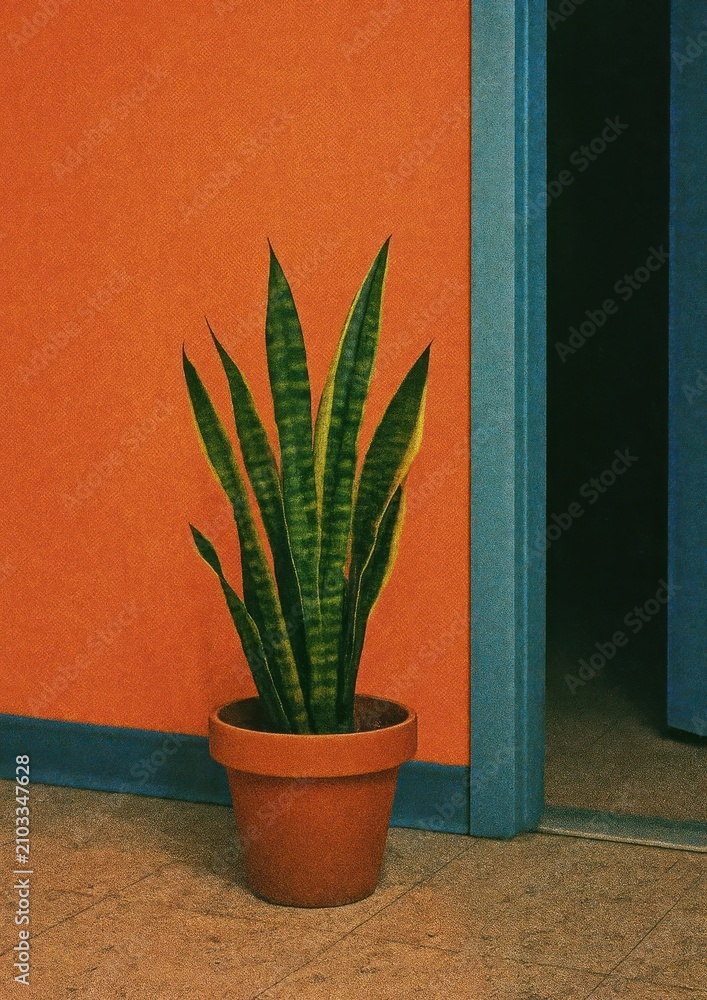 Obraz premium Vibrant plant against colorful wall.