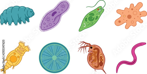 фотографія Microscopic Organisms Microbes and Water Microorganisms Vector Illustration Set