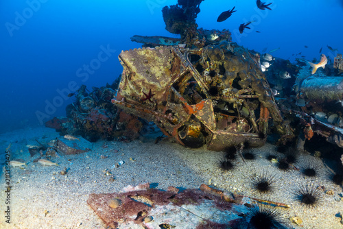 Canvas Print Close-up of the wreckage of the World War II Junkers Ju 88 A4 bomber resting at approximately 57 metres depth off Malta