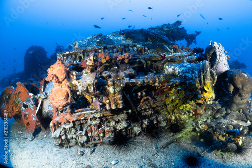 Canvas Print Close-up of the wreckage of the World War II Junkers Ju 88 A4 bomber resting at approximately 57 metres depth off Malta