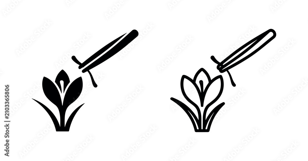 Fototapeta premium Black and white icons of a saffron crocus flower being harvested