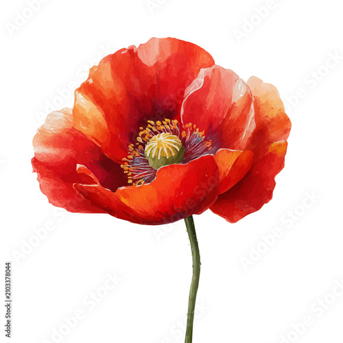 фотографія Poppy Flower watercolor artwork, high-quality professional vector illustration isolated on a white background