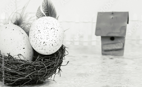 Canvastavla Black and White close-up of twiggy bird nest with speckled eggs, feathers and in
