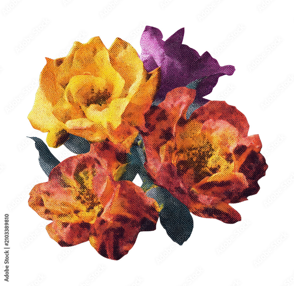 Obraz premium PNG Vibrant pop art floral illustration.