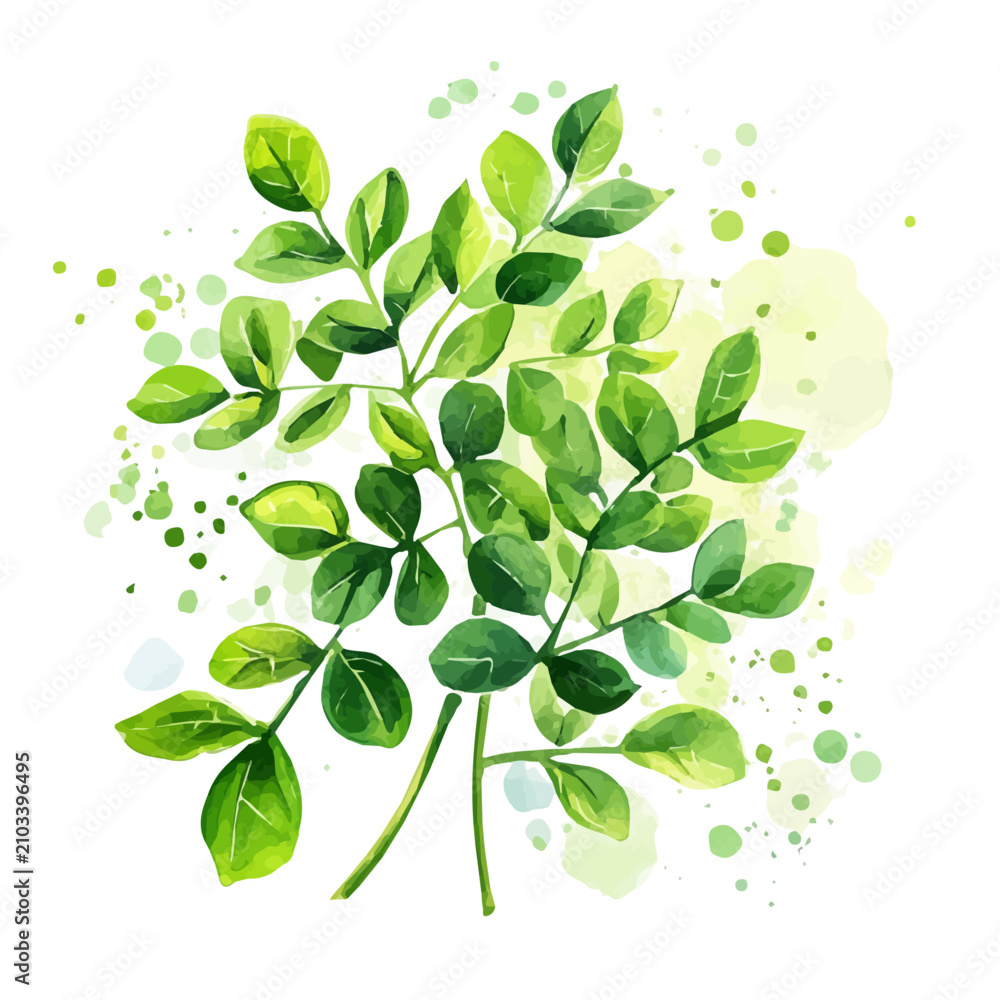 Obraz premium Moringa watercolor painting, semi-realistic fantasy artwork, realistic details with magical touch, white background