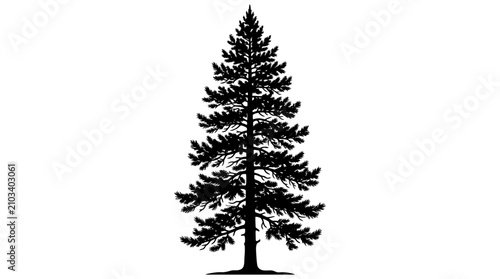 Black Pine Tree Silhouette