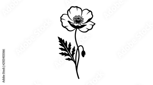 Minimal Poppy Flower Sketch