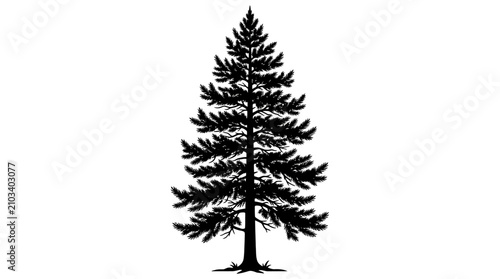 Black Pine Tree Silhouette