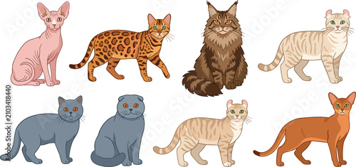 Fotografía Domestic Cat Breeds Vector Illustration Set Featuring Sphynx Bengal Maine Coon B