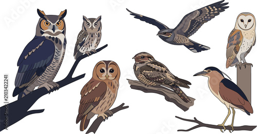 Fotografía Nocturnal Birds and Night Wildlife Vector Illustration Set Featuring Horned Owl
