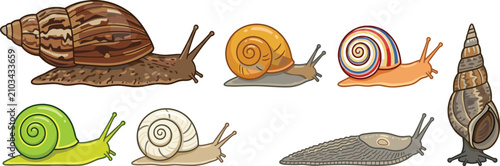 Bild auf Leinwand Terrestrial Snails and Land Gastropods Vector Illustration Set Featuring Giant A