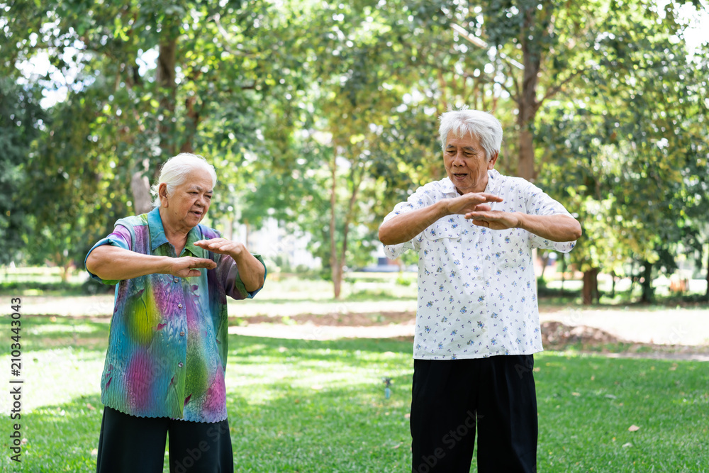 Obraz premium Happy Asian senior couple practicing Tai Chi exercise in green park. Beautiful elderly women and man smiling, enjoying retirement lifestyle, healthy active aging and wellness concept.