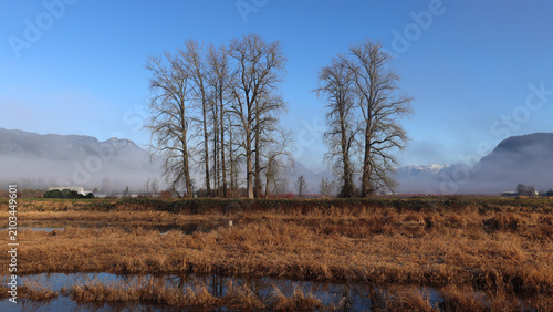 Autumn panorama with leafless trees and mountains