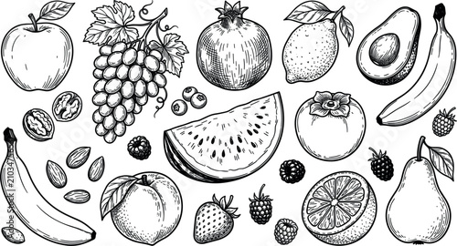 Obraz na płótnie Hand drawn fresh organic fruits collection set with apple grapes watermelon banana orange and berries vintage sketch style vector illustration