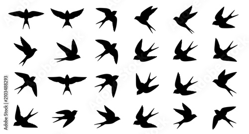 Konstfotografi Minimal swallow bird silhouette vector set with diverse flying and gliding poses