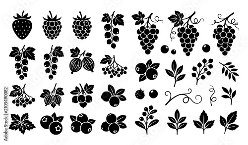 Bild auf Leinwand Berry Fruit Silhouette Vector Set with Strawberry Raspberry Blackberry Currants